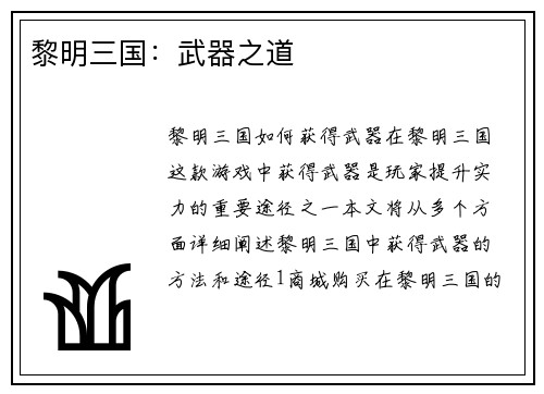 黎明三国：武器之道